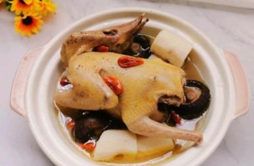 吃鴿子肉會上火嗎?哪些人不宜吃鴿子肉?