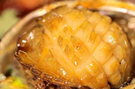 鮑魚(yú)可以滋陰嗎?鮑魚(yú)屬于涼性食物嗎?