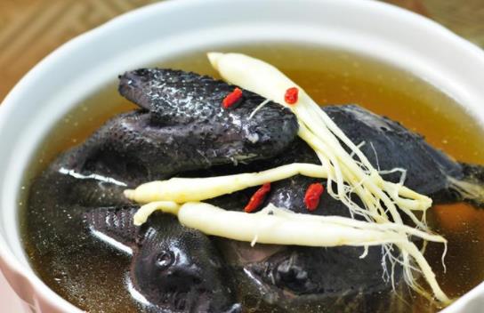 烏雞吃公的好還是母的好?老母雞補(bǔ)血還是烏雞補(bǔ)血?