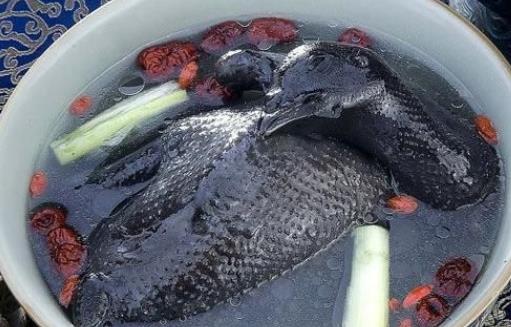 男性可以喝烏雞湯嗎?男性喝烏雞湯有哪些好處?