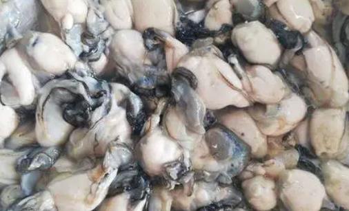 生蠔肉很腥是不是不新鮮 生蠔肉不白有點黃是什么原因