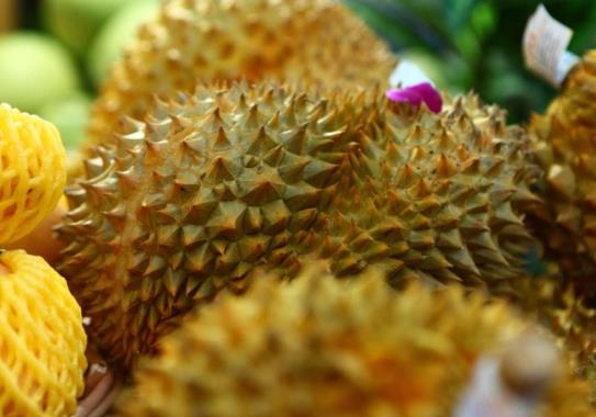 榴蓮放袋子里有水珠會(huì)壞嗎?榴蓮放袋子里面為什么好多水