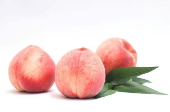 桃子里面是褐色的還能吃嗎?桃子里面有透明的膠能不能吃?