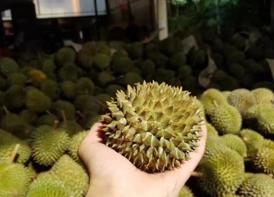 一個(gè)榴蓮能出多少肉?榴蓮只有三房肉可以退嗎?