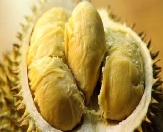 榴蓮開了一包肉不算特別熟怎么辦?榴蓮開口可以放多久?