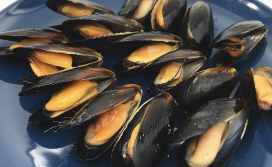 為什么禁止食用海虹 海虹有毒是不是真的