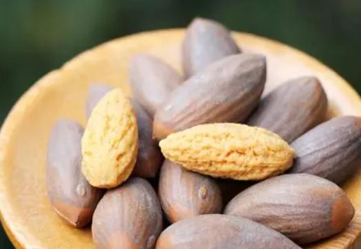 有痔瘡可以吃香榧嗎?吃香榧有哪些好處?