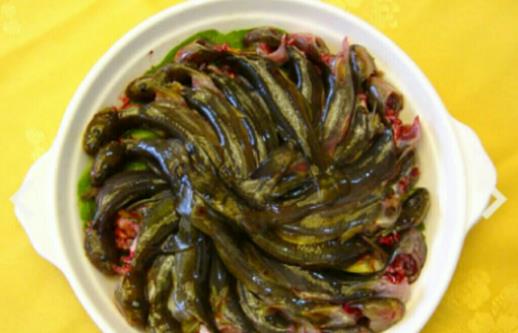 孕婦可以吃七星魚嗎?吃七星魚有哪些營養(yǎng)價值?