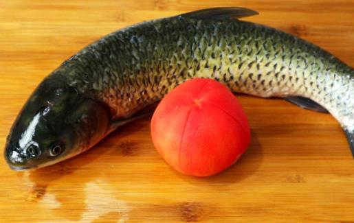 經(jīng)期可以吃草魚嗎?吃草魚可以吃柿子嗎?