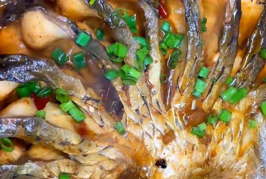 經(jīng)期可以吃草魚嗎?吃草魚可以吃柿子嗎?