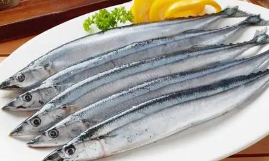 痛風(fēng)可以吃秋刀魚嗎?秋刀魚不宜與什么一起吃?