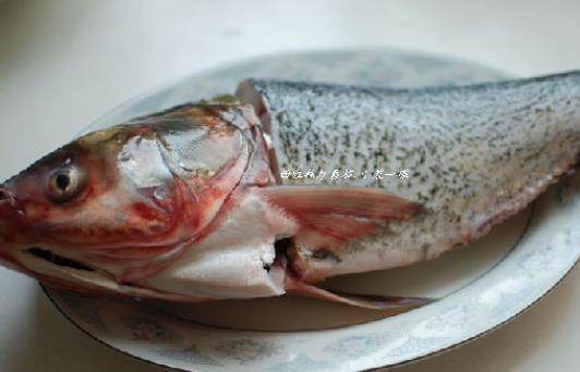 孕婦可以吃胖頭魚(yú)?吃胖頭魚(yú)有哪些好處?