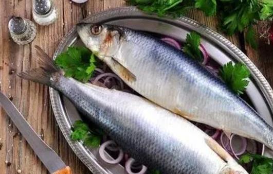 經(jīng)期可以吃青魚嗎?青魚是什么魚?