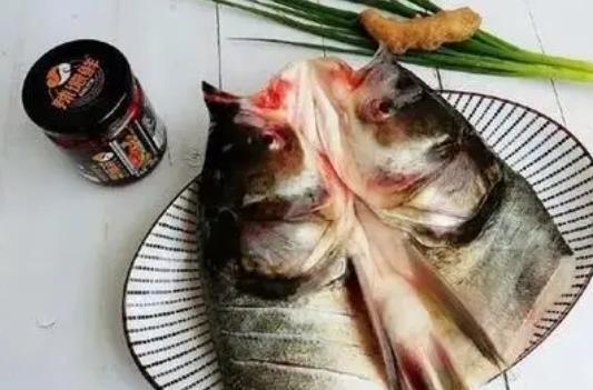 蕁麻疹患者可以吃胖頭魚嗎?胖頭魚有哪些營養(yǎng)價值?