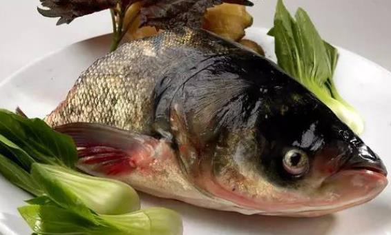 痛風(fēng)患者可以吃胖頭魚嗎?吃胖頭魚會(huì)胖嗎?