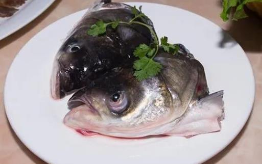 痛風(fēng)患者可以吃胖頭魚嗎?吃胖頭魚會(huì)胖嗎?
