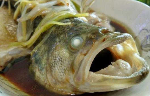 孕婦可以吃胖頭魚(yú)?吃胖頭魚(yú)有哪些好處?
