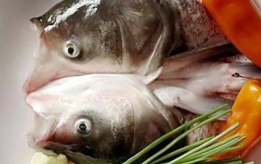 痛風(fēng)患者可以吃胖頭魚嗎?吃胖頭魚會(huì)胖嗎?