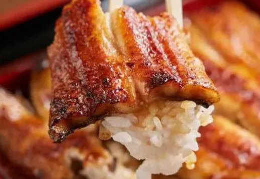 高血脂患者可以吃鰻魚嗎?鰻魚有哪些營養(yǎng)價值?
