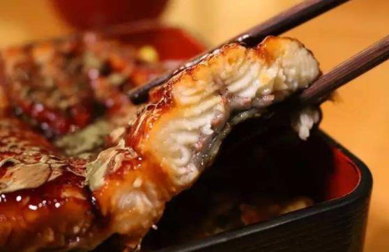 經(jīng)期可以吃鰻魚嗎?鰻魚有哪些功效?