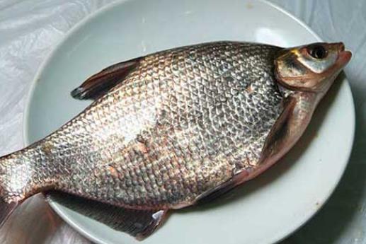 孕婦可以吃武昌魚(yú)嗎?武昌魚(yú)有哪些作用?