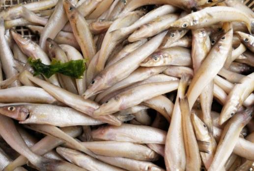 痛風(fēng)患者可以吃沙丁魚嗎?沙丁魚不宜與哪些食物一起吃?