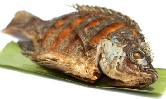 孕婦可以吃羅非魚(yú)嗎?吃羅非魚(yú)有危害嗎?