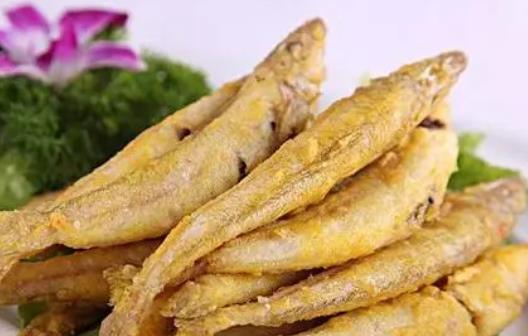 哪些人不宜吃沙丁魚?沙丁魚有哪些營養(yǎng)價值?