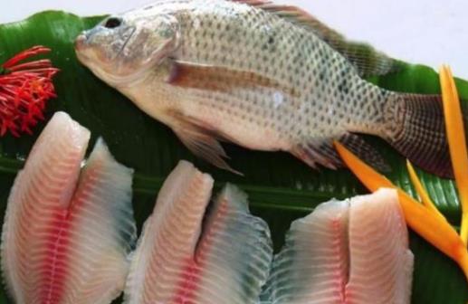 孕婦可以吃羅非魚(yú)嗎?吃羅非魚(yú)有危害嗎?