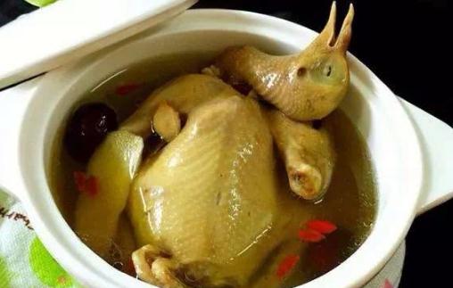 術(shù)后吃鴿子會(huì)造成疤痕增生嗎 術(shù)后吃鴿子有什么好處