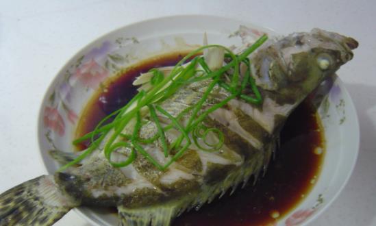桂魚是什么魚?吃桂魚會過敏嗎?