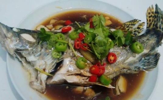 寶寶可以吃桂魚嗎?桂魚不宜和什么一起吃?