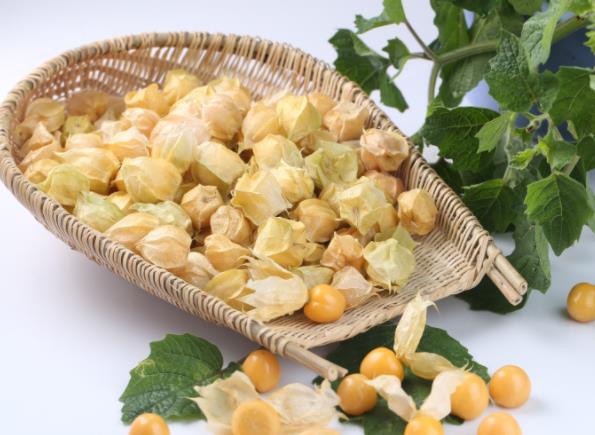 燈籠果正確的食用方法是什么?燈籠果的功效和作用是什么
