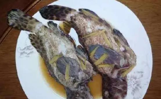 寶寶可以吃石斑魚嗎?多大的寶寶可以吃石斑魚?