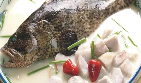 孕婦可以吃石斑魚嗎?孕婦吃石斑魚有哪些好處?