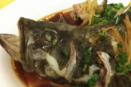 吃了石斑魚可以喝酒嗎?喝酒吃石斑魚有哪些壞處?