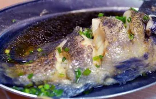 孕婦可以吃石斑魚嗎?孕婦吃石斑魚有哪些好處?