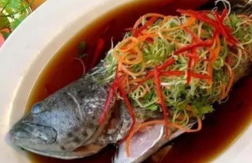 吃了石斑魚可以吃柿子嗎?吃石斑魚有哪些功效?