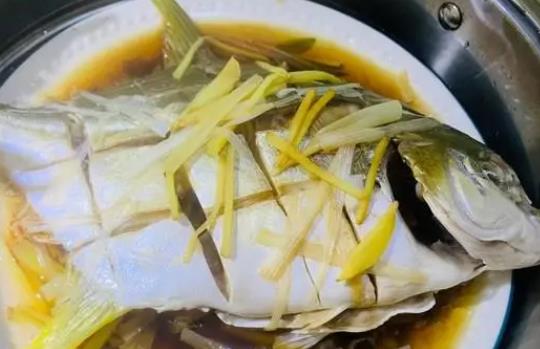鯧魚是發(fā)物嗎?鯧魚有哪些功效?