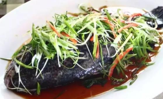 石斑魚(yú)可以空腹吃嗎?石斑魚(yú)的魚(yú)膽可以吃嗎?