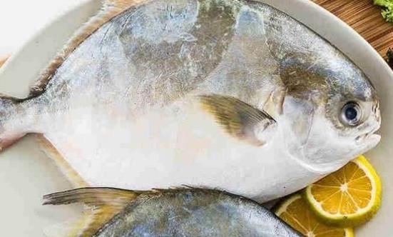 糖尿病患者可以吃鯧魚嗎?吃鯧魚有哪些好處?