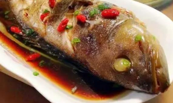 石斑魚(yú)可以空腹吃嗎?石斑魚(yú)的魚(yú)膽可以吃嗎?