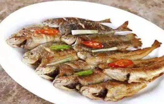寶寶可以吃梭魚嗎?吃梭魚有哪些好處?