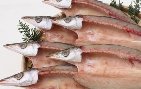 產(chǎn)婦可以吃梭魚嗎?梭魚的那個部位有毒?