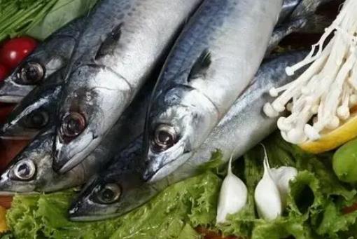糖尿病患者可以吃馬鮫魚嗎?馬鮫魚有哪些營養(yǎng)價值?