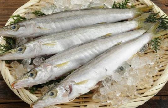 孕婦可以吃梭魚嗎?梭魚是海水魚還是淡水魚?