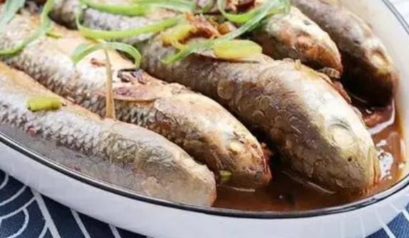 產(chǎn)婦可以吃梭魚嗎?梭魚的那個部位有毒?