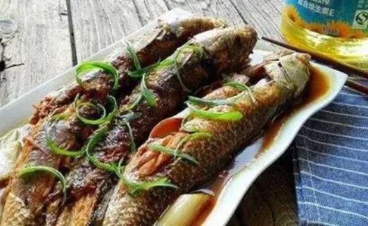 孕婦可以吃梭魚嗎?梭魚是海水魚還是淡水魚?