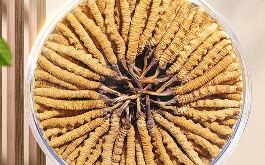 冬蟲夏草要連續(xù)吃多久 冬蟲夏草儲存應(yīng)該冷凍還是冷藏