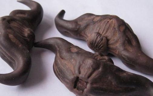 菱角煲湯需要去皮嗎 煮熟的菱角可以冷凍儲(chǔ)存嗎
